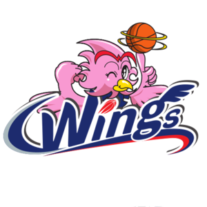 愛(ài)信飛翼女籃