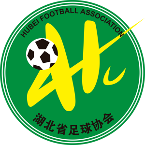 湖北全運女足